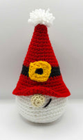 "Jolly" the Lil Santa Gnome