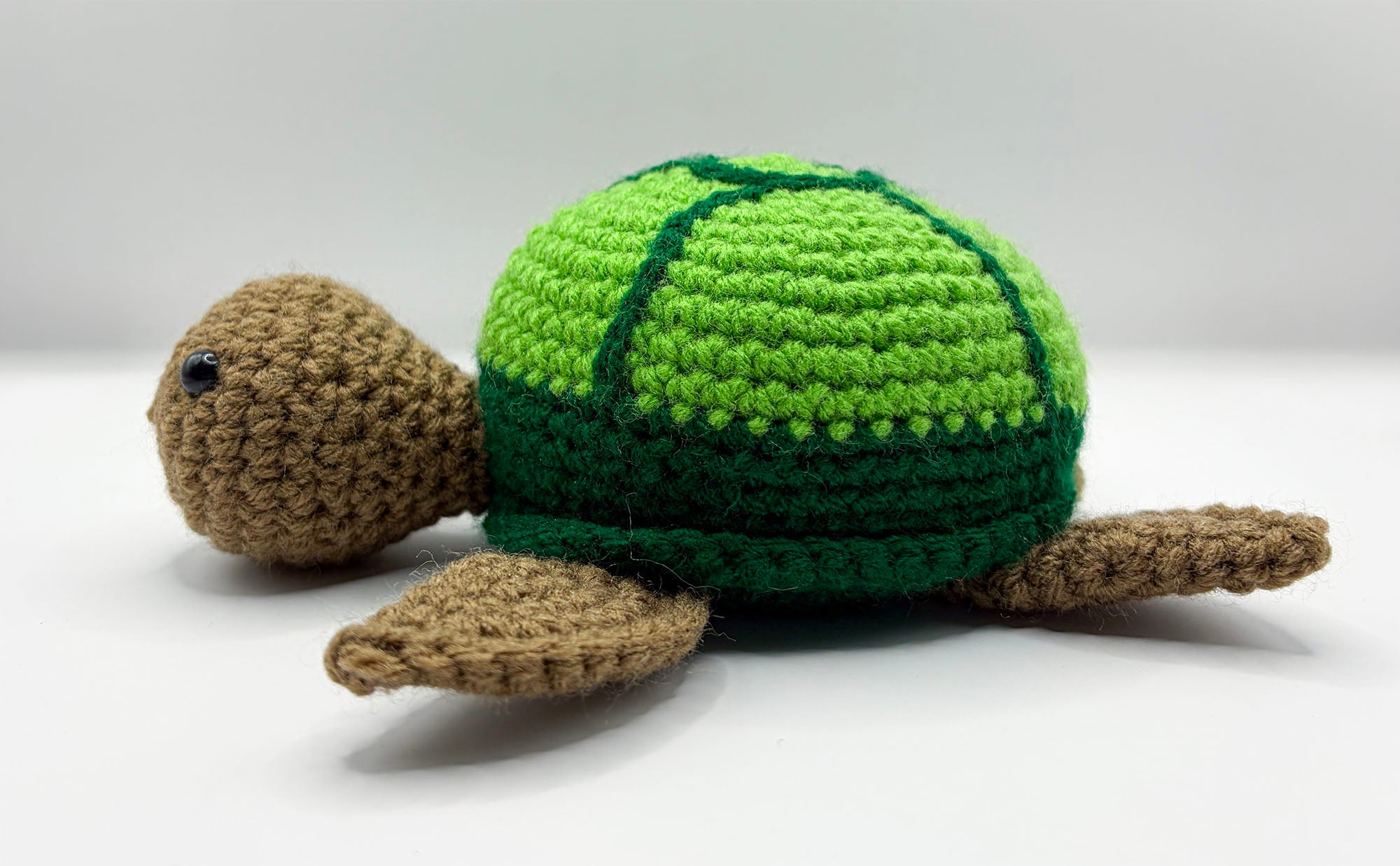 "Sammy" the Swimming Turtle Plushie