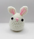 "Bun Bun" the little white bunny plushie
